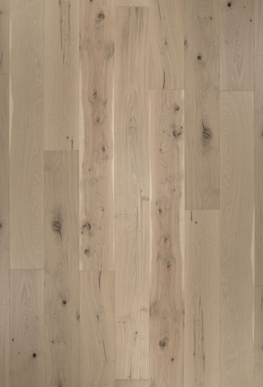 10.25 Inch Plank Montana Plank XXL Butte 3mm Sawn French White Oak Veneer (3/4 Thick)